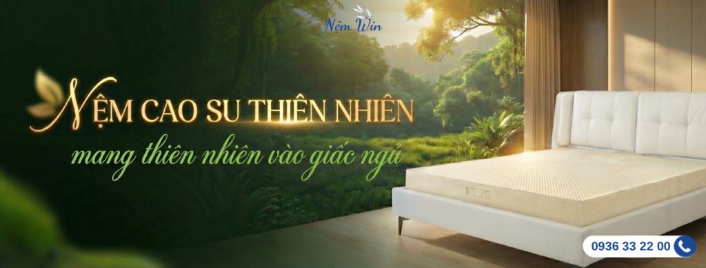 Nệm Cao Su Thiên Nhiên Nệm Win